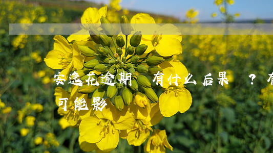 安逸花逾期會有什么后果？有獎問答揭示可能影響！